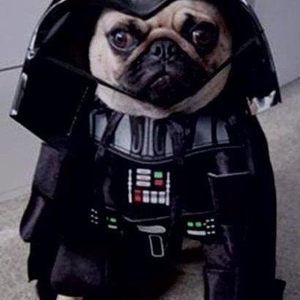 Meet your Posher, Jayne